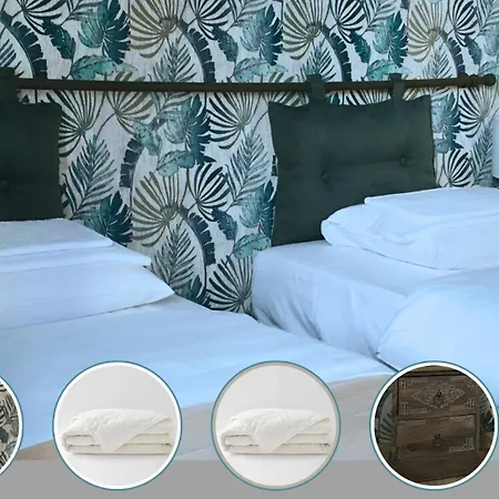 Serenite Au Centre N 4 * Λούρδη